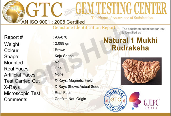 1 Face/Mukhi Certified Rudraksha Size- 30mm